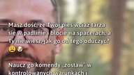 Oducz psa tarzania się w błocie!  #Pies #Zostaw #TreningPsów