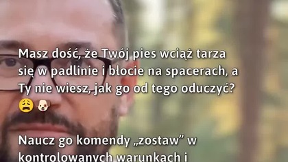 Oducz psa tarzania się w błocie!  #Pies #Zostaw #TreningPsów