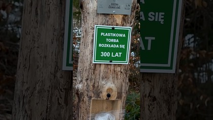 Prawda, Która Zbawia Ziemię