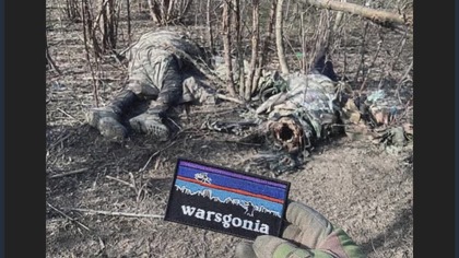 Woja Rosja - Ukraina - smażone rosyjskie dziki czyli safari ukraińskie