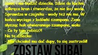 Dowcip dnia! #51# #dowcipdnia #dowcip #kawały