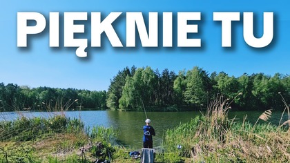 664 OSTATNI RAZ, OBIECUJĘ - ZBIORNIK SOŚNIE