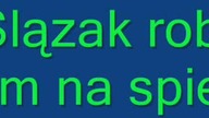 Ślązak