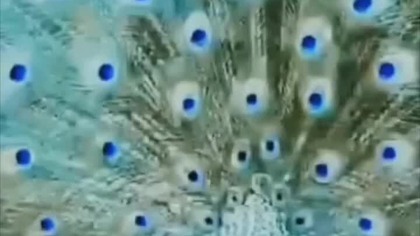 COLOUR THEORY HARDCORE