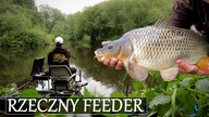 FEEDEREM w RZECE - Jeszcze więcej leszczy oraz rzeczny KARP