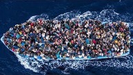Holenderski rząd ukrywa przestępstwa imigrantów! | Ewa Żyźniewska