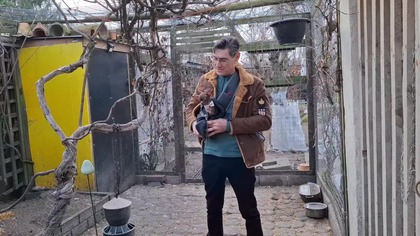 Zimowa kwatera dla gołąbków diamentowych * Garden kuRaż * 23.  02.  2025