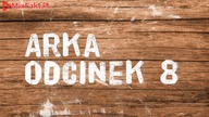 ARKA 8 Zbutwiały pień