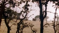 The New World of Zorro (1990) S02E18 "Gwiżdżący złodziej"