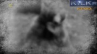 Wojtek, niedźwiedź który poszedł na wojnę (2011) [Lektor PL]