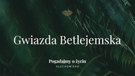 Słuchowisko.  Pogadajmy o życiu - #121 Gwiazda Betlejemska