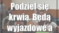 Podziel się krwią.  Będą wyjazdowe akcje RCKiK