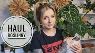 HAUL Roślinny - Roślina z mojej wishlisty 