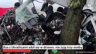 Bus z Ukraińcami wbił się w drzewo, nie żyją trzy osoby [Serwis informacyjny, KSTV Info]