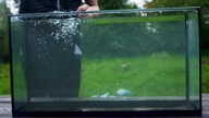 Experiment: Coca Cola and Mentos Under Water