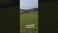 A dookoła nikogo nie ma ...   #bieszczady #wbieszczady #wgóry #góry #biesy #bieszczadzkie