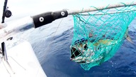 We got a DEEP BLUE SEA FISH!  SAILING is never boring!