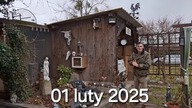 W Garden kuRaż * Karmienie kurczaków i innych zwierzaków * 01.  02.  2025