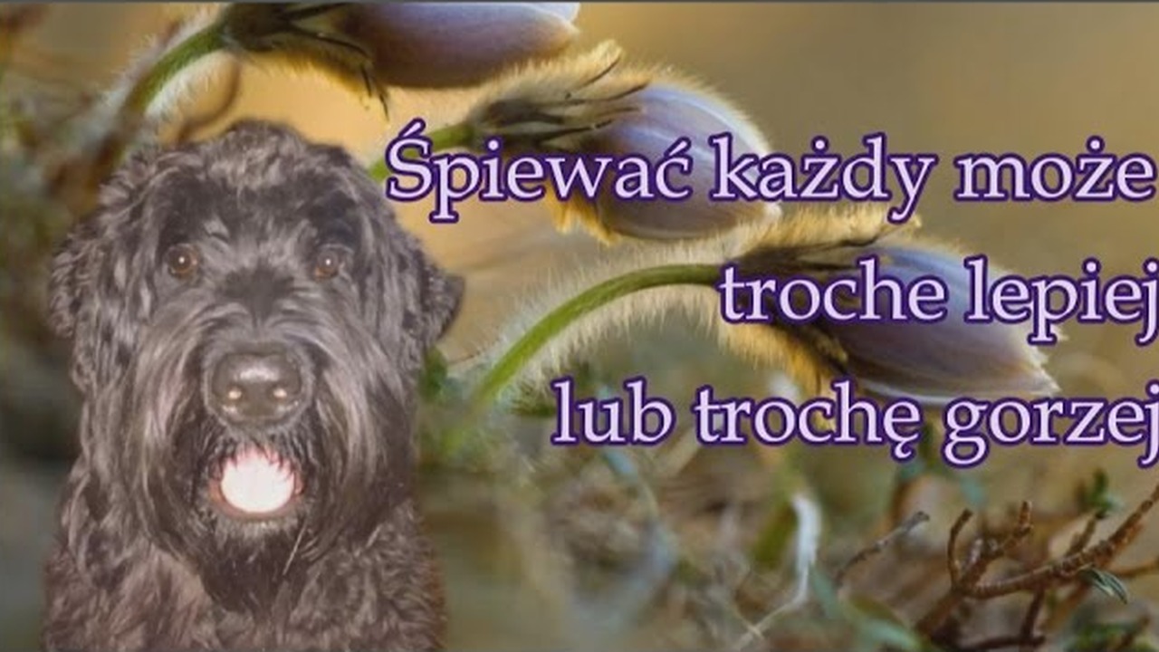 śpiewać Każdy Może Trochę Lepiej Lub Trochę Gorzej Autor