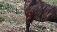 mix