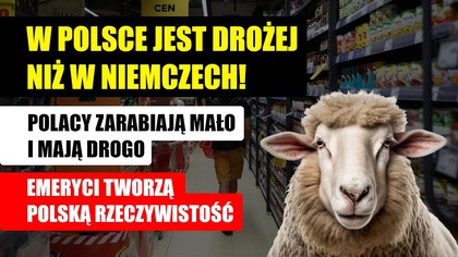 W Polsce jest drożej niż w Niemczech! Polacy zarabiają mało i mają drogo | Emeryci dyktują Polskę
