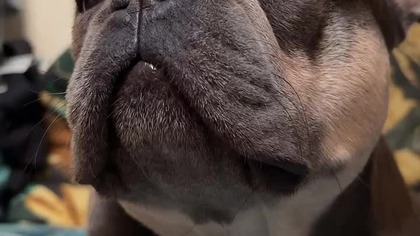 a1841588-759a-4092-ae18-215be36b974c