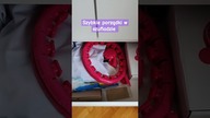 Szybka motywacja do porządków CLEAN WITH ME #uporzadkowana