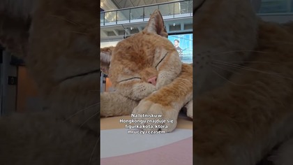Gigantyczny kot na lotnisku w Hongkongu