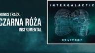 SPR & Cytrobit - Bonus track: Czarna R&oacute;ża (Instrumental)