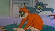 Tom i Jerry 16 (Dubbing PL)