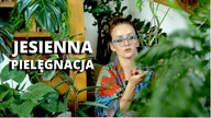 Jak przygotować rosliny do jesieni? Jesienna PIELĘGNACJA roślin domowych