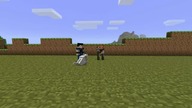 Minecraft PSA 3 - Zwierzątko