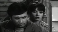 Kocie ślady (1971) [delogo]