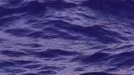 Isle of Music  Without You at Work (Piano / Ambient 2025)