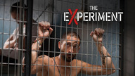 Eksperyment (2010) Lektor PL