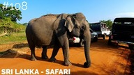 SRI LANKA - Słoń przeszedł mi przez drogę...