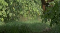 12 Robin Hood S03E12