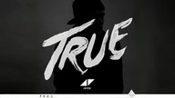Avicii - Hey Brother (Official Instrumental)