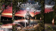 Korpiklaani - Tequila (Guitar Cover by Kondzik)