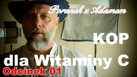 Poranek z Adamem [01] Kop dla witaminy C