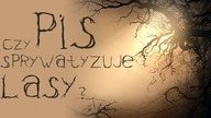 PiS chciał sprywatyzować Lasy Państwowe!