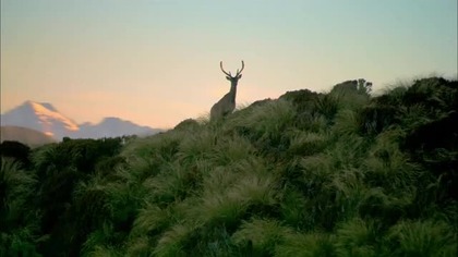 Miecz Prawdy sezon 1 odcinek 4