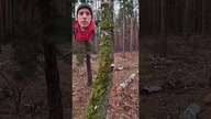 Gdy zgubisz się w lesie, spójrz na mech rosnący na drzewach #shorts