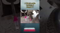 Klasyk polskiego YouTube! Naprawa ciężarówki, która zamieniła się w komedię  #klasyk #youtube #tir
