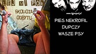 Pies co oglądał familiadę - Lej Mi Pół (KARAOKE)