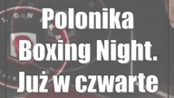 Polonika Boxing Night.  Już w czwartek w Lublinie