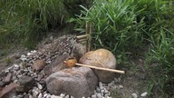 japanese style garden spring