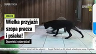 SUPRSTCJ - 10-10-2019 - News(koniec), Reklama(fragment)