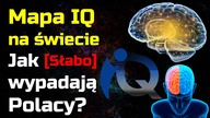 Mapa IQ na świecie - Jak SŁABO wypadają Polacy
