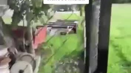 tak Izabela misiarz kazała bić Andrzeja misiarz przez dzieci Antoniego i Aleksandra z winy Millor